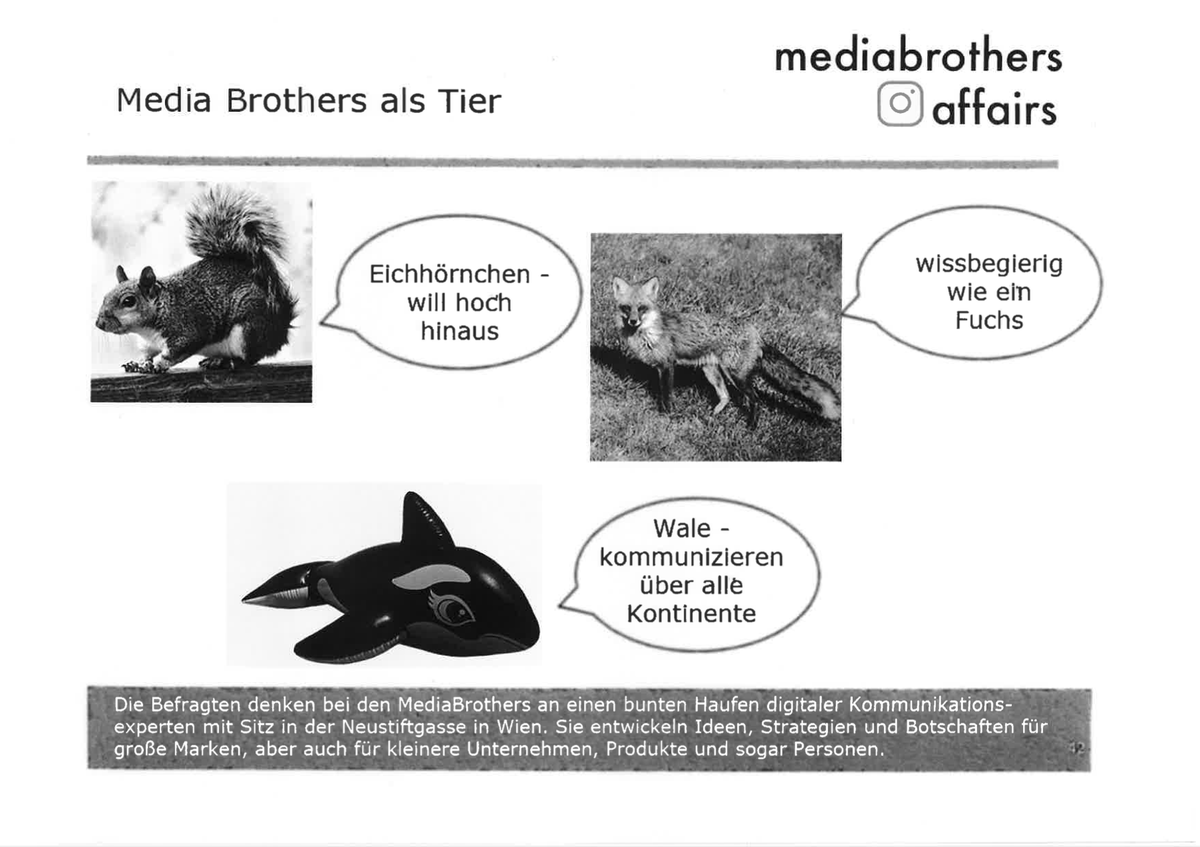 Ständig neue Enthüllungen! Unglaublich! 🙀

Wenn Du Daten wirklich vertrauen willst - hier lang: mediabrothers.at/data-analyse/

#MediaBrothersWirkt