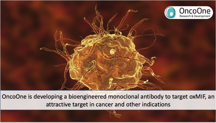 OncoOne's tweet photo. Did you know that the OncoOne founders discovered the untapped potential of #oxMIF as an attractive target for a range of solid tumors and inflammatory conditions? Head over to our website at, https://t.co/Pk0vqyG8cZ to learn more about our innovative technology. https://t.co/9qxPuwOsbS