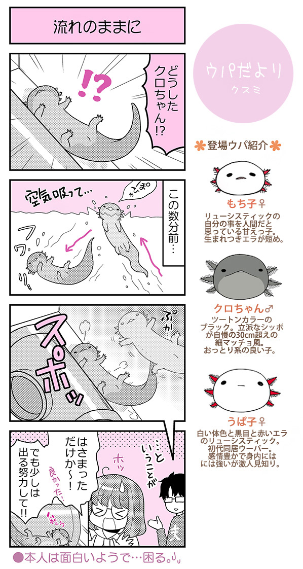 Twoucan ウーパールーパー の注目ツイート イラスト マンガ Twoucan ウーパールーパー の注目ツイート イラスト マンガ
