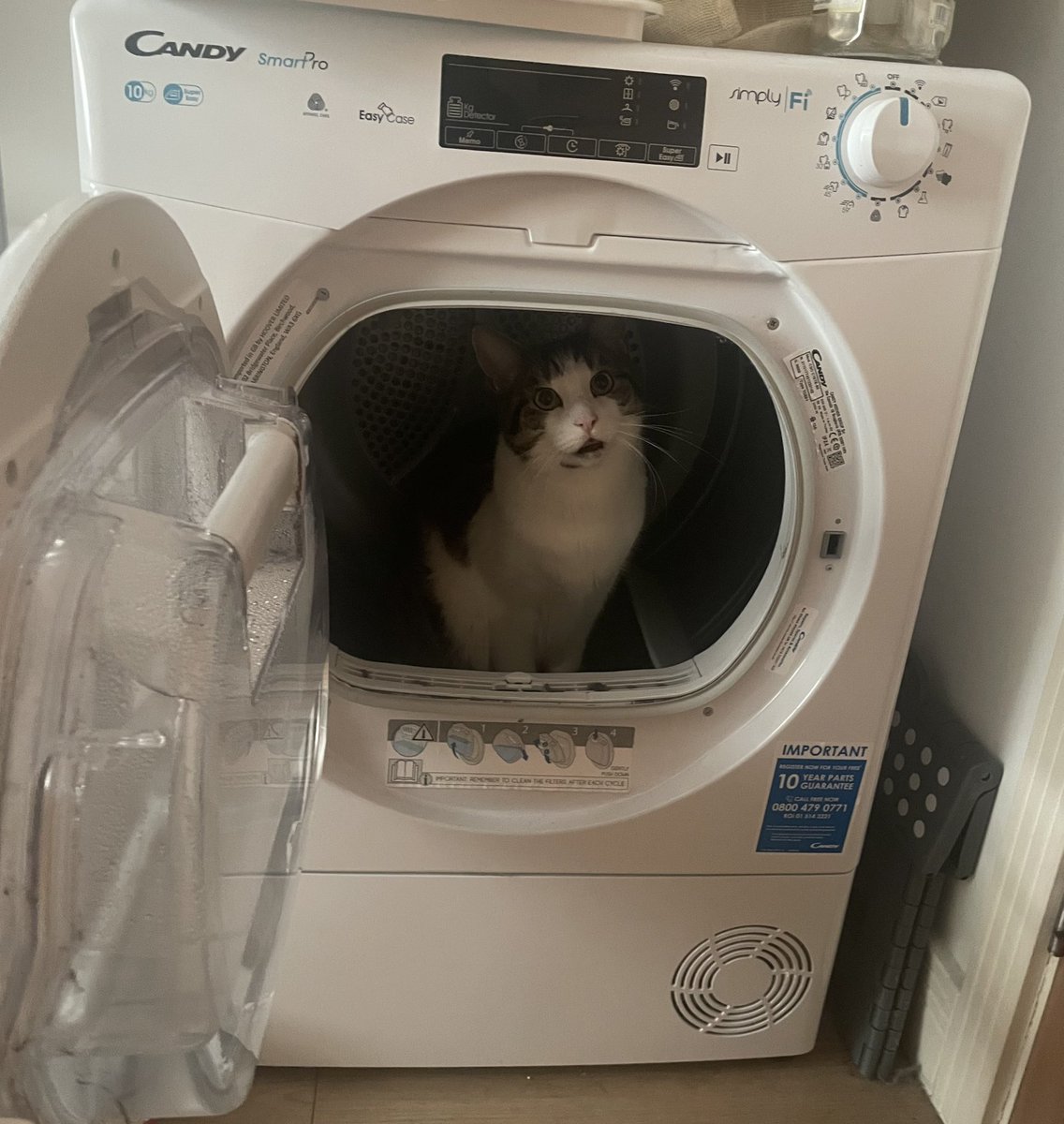 Not sure which setting to use. Lights and darks maybe?🤔