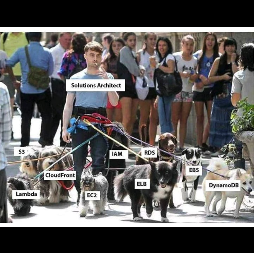 buildoHQ's tweet photo. 😂
Source: @cse_memes
#programming #meme #memes #aws #awssolutionsarchitect #awsmeme #memesprogramming https://t.co/fHdwUfHjzS