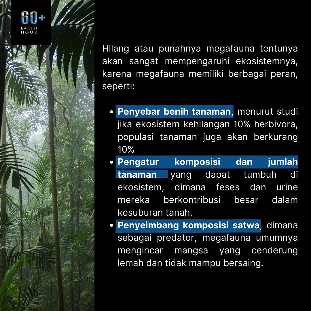 Halo, SobatEH! 🤗

Tau gak sih kalo dengan keadaan lingkungan saat ini laju pemulihan spesies di Bumi makin melambat, tapi kenapa ya? Terus efeknya apa? 

#Connect2Earth
#EarthHourIndonesia
#EarthHour