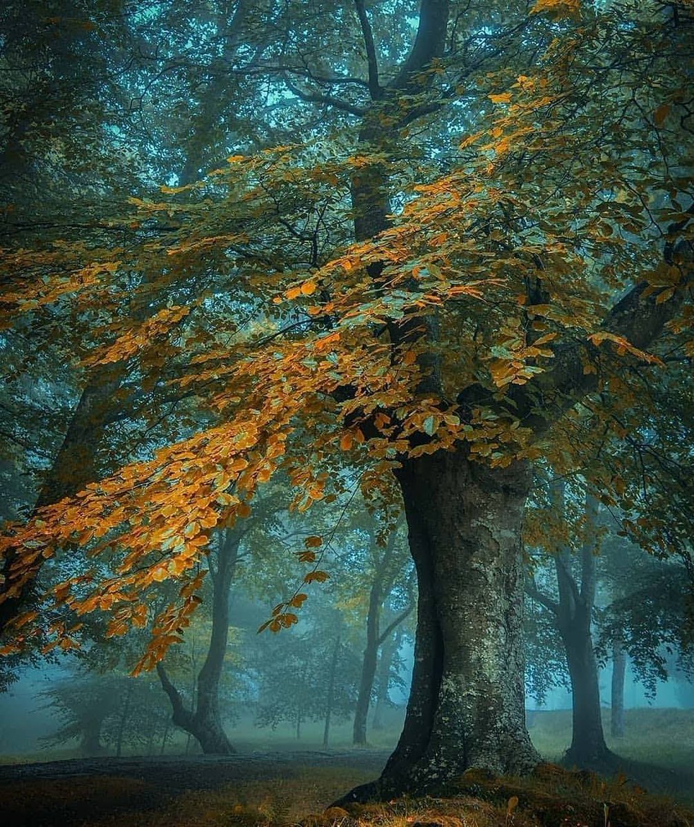 현실이
마음에 들지 않으면

그 현실을
받아들이지 말고 외면하라

그리고
좋은 현실로 교정하라

자꾸 자꾸
교정하면
좋은 현실로
조금씩 바뀌게 된다

가지치기를 해야
예쁜 나무가 되는것 처럼..

-지나간다 다지나간다-