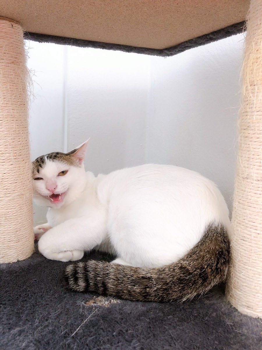 bowchangnaam's tweet photo. @PlasterYA ลุงเกต���้าบบบบบ แม่คิดถึงค้าบบบบ 55555555 https://t.co/CXI1XxLWXp