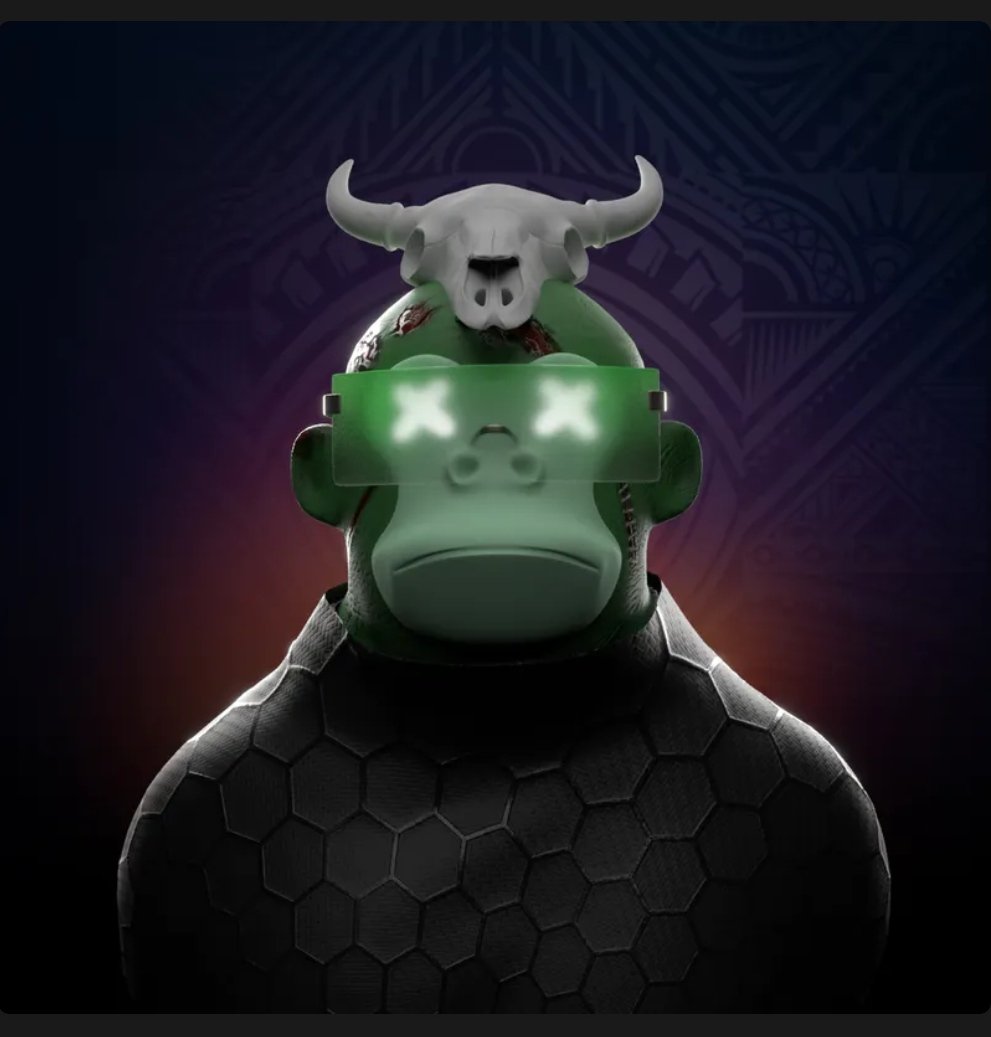 Pi lu ⚡ tweet media