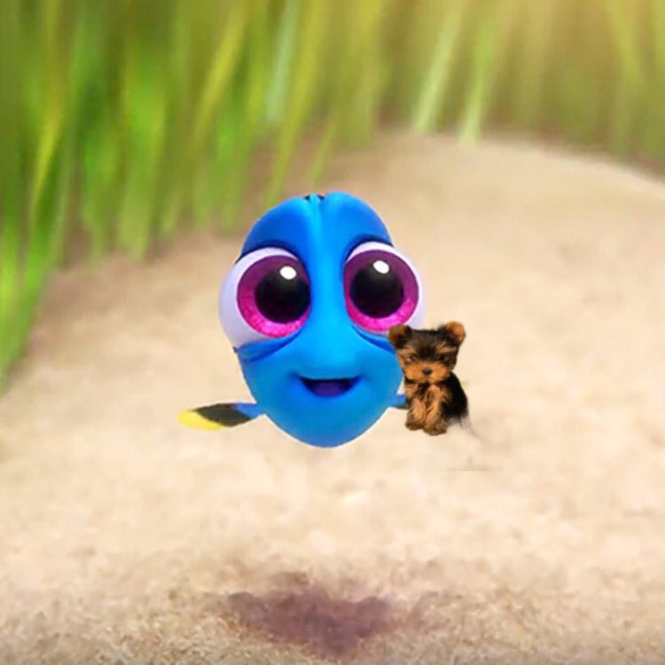 archivesbishop's tweet image. hailee steinfeld            kate bishop