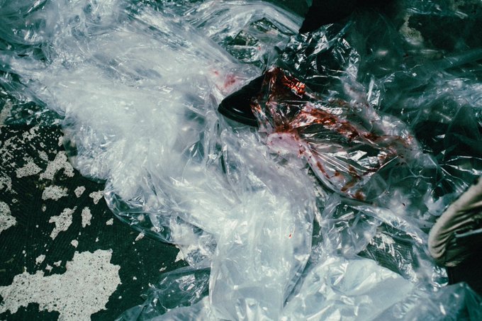 コスプレイヤーあおぴのTwitter画像25