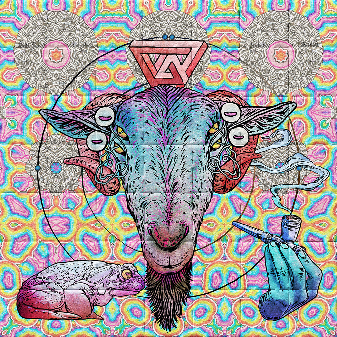 randomcat tweet media