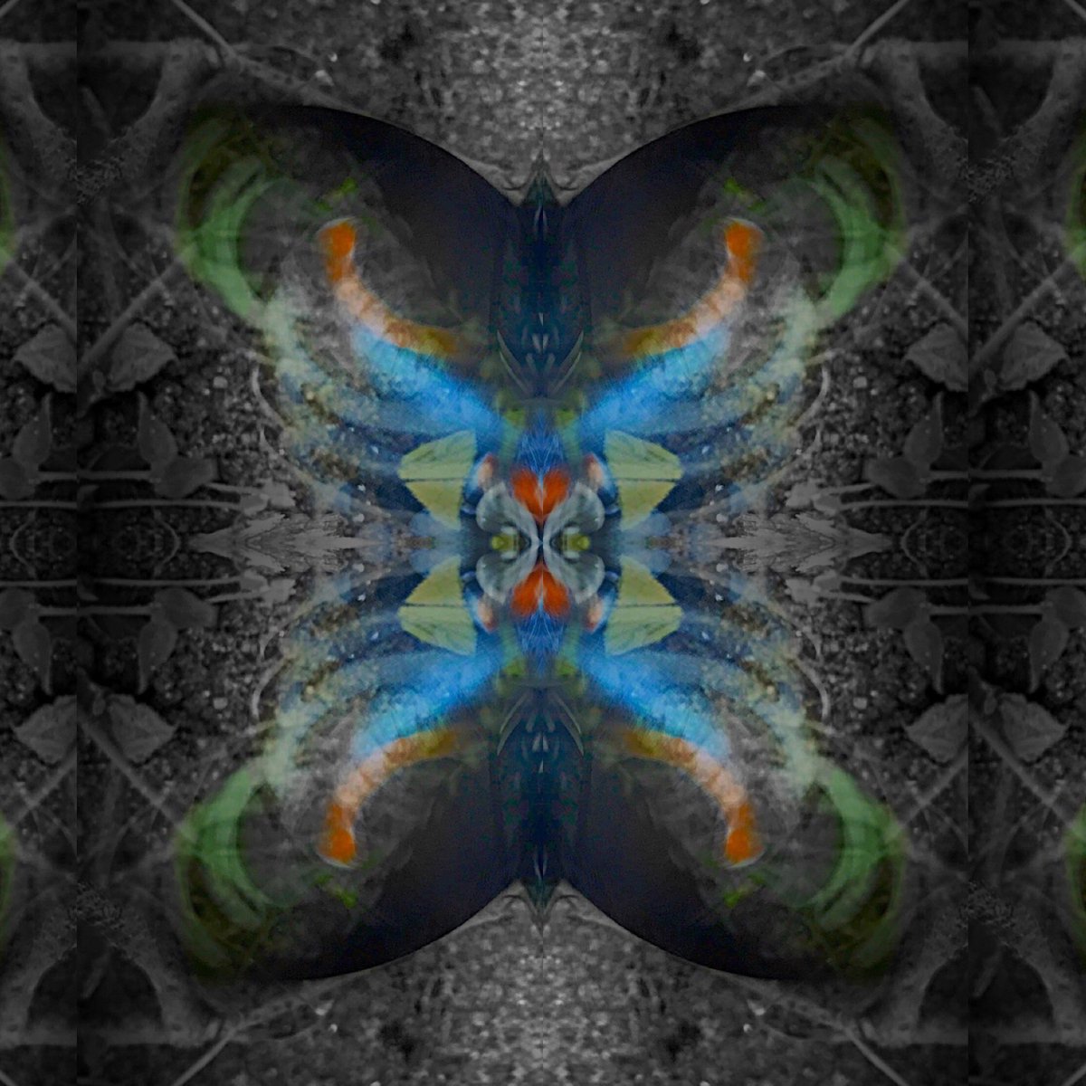 JanusProjectNFT's tweet image. Welcome to the #NFT archive of the ill-fated Janus 1 Mission, a multinational-corporate endeavor (c. 2122) conceived to reach and to explore the first positively identified tide-locked, habitable planet known as Kepler 90b in the early pre-HashLink 21st century (2022). 1/11