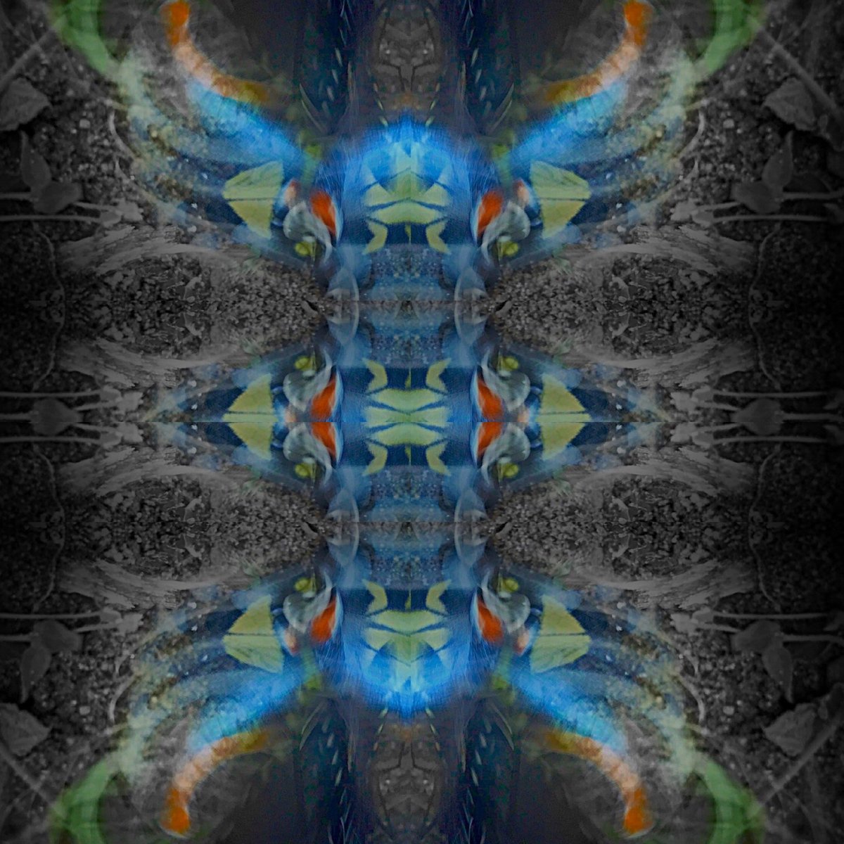 JanusProjectNFT's tweet image. Welcome to the #NFT archive of the ill-fated Janus 1 Mission, a multinational-corporate endeavor (c. 2122) conceived to reach and to explore the first positively identified tide-locked, habitable planet known as Kepler 90b in the early pre-HashLink 21st century (2022). 1/11