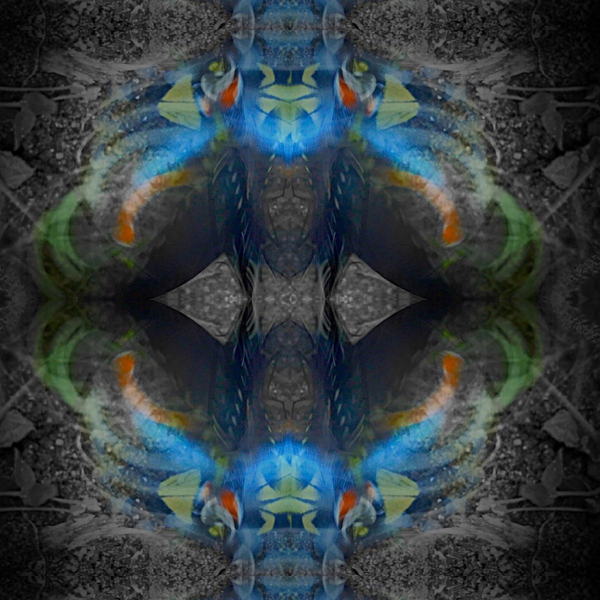 JanusProjectNFT's tweet image. Welcome to the #NFT archive of the ill-fated Janus 1 Mission, a multinational-corporate endeavor (c. 2122) conceived to reach and to explore the first positively identified tide-locked, habitable planet known as Kepler 90b in the early pre-HashLink 21st century (2022). 1/11