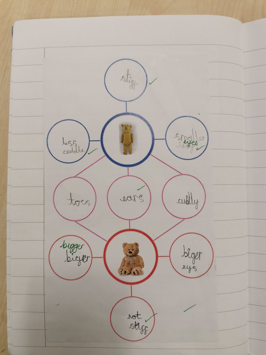 Foxfield Year 1 Hazel tweet media