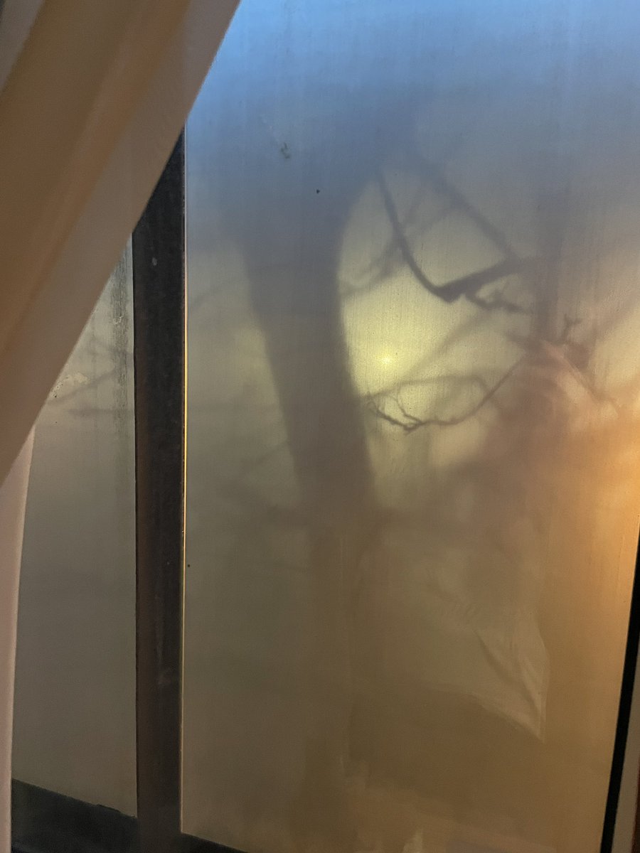se7enhedd's tweet photo. Not sure if I like the view from my hotel window out not! #horror #atmos #trees #fog #euston https://t.co/iaWyBFhkOg