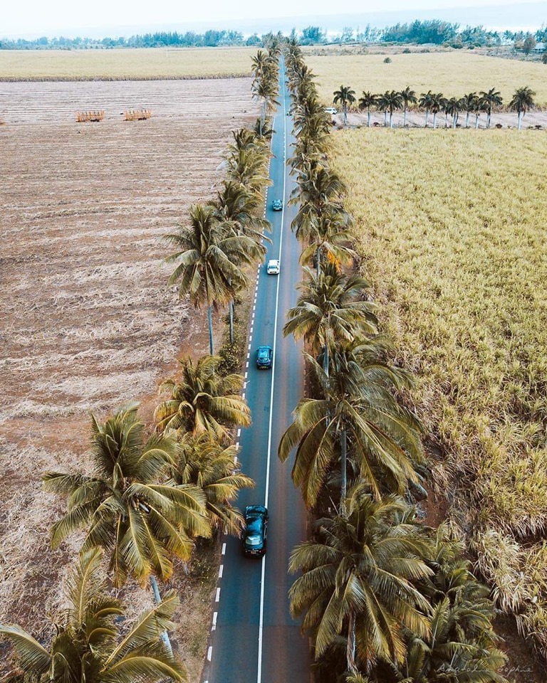 MauritiusGuide's tweet photo. Road trip in Mauritius be like https://t.co/RgHl05X4D5