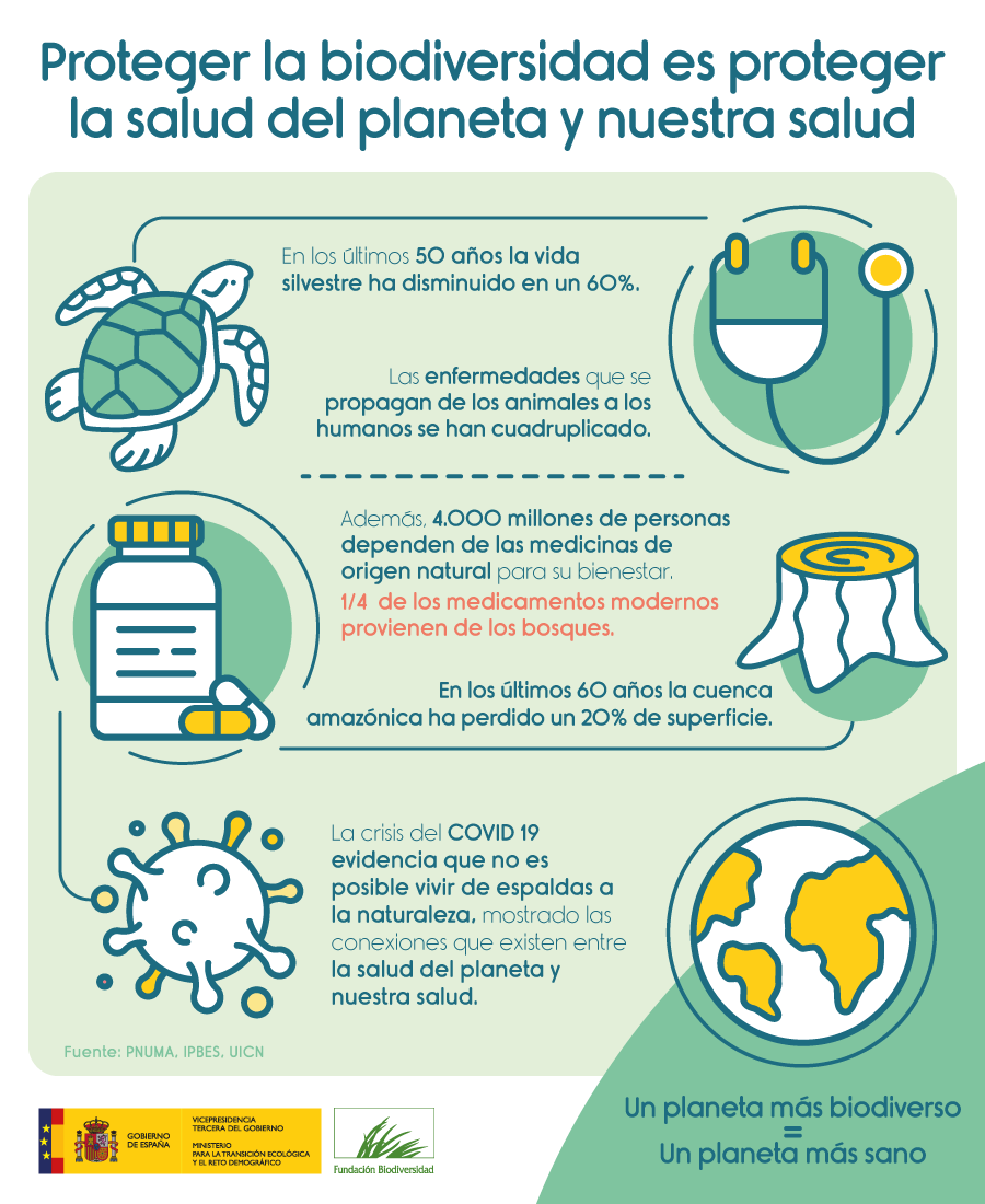 FBiodiversidad's tweet photo. La destrucción de la Naturaleza, la pérdida de biodiversidad y el #CambioClimático aumentan el riesgo de aparición de enfermedades infecciosas.

Proteger la #biodiversidad es proteger la salud del planeta y nuestra salud 💚
#BiodiversidadEsSalud https://t.co/WkpxcEG0e5