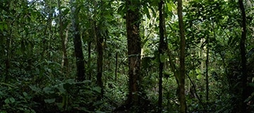 Sustainability across the Dell Server estate - Did you know, Dell Technologies have reduced their energy intensity in PowerEdge Servers by 83% since 2013! tdas.so/F9F2A6