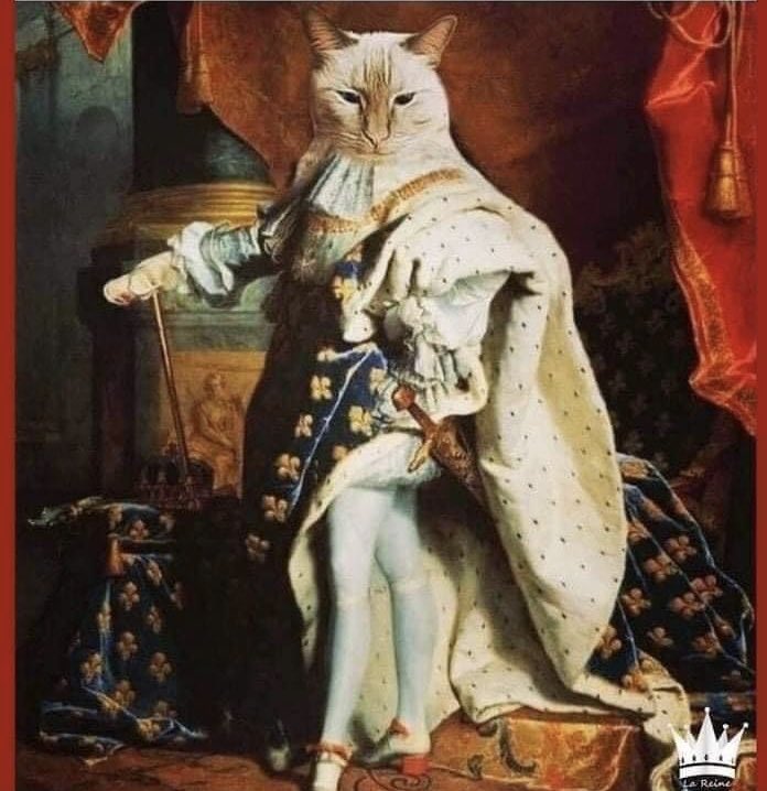 ParoleDeChattes's tweet photo. @vibesandvoices Gênant quand tu t’appelles parole de chattes 🥲😂 https://t.co/PW4NzRxJ1i