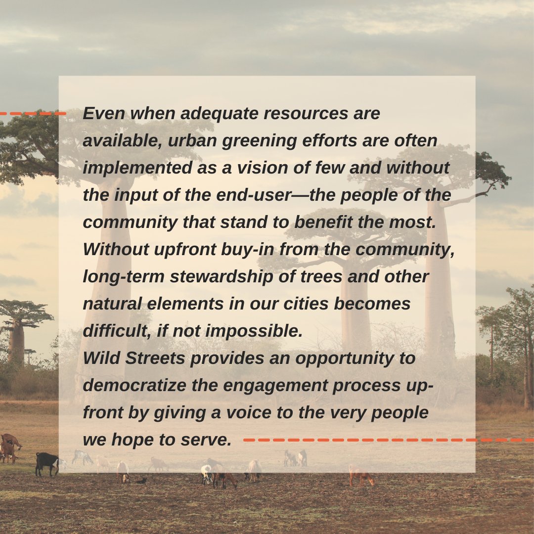 Wild Streets tweet media