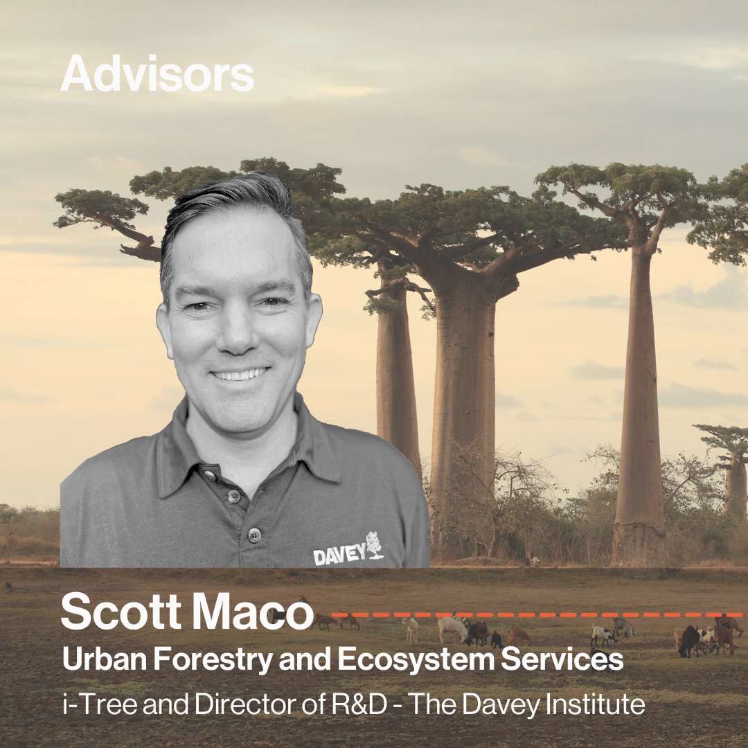 Wild Streets tweet media