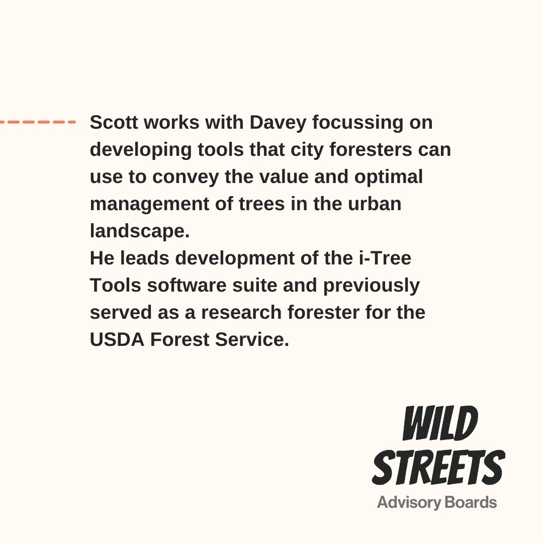 Wild Streets tweet media