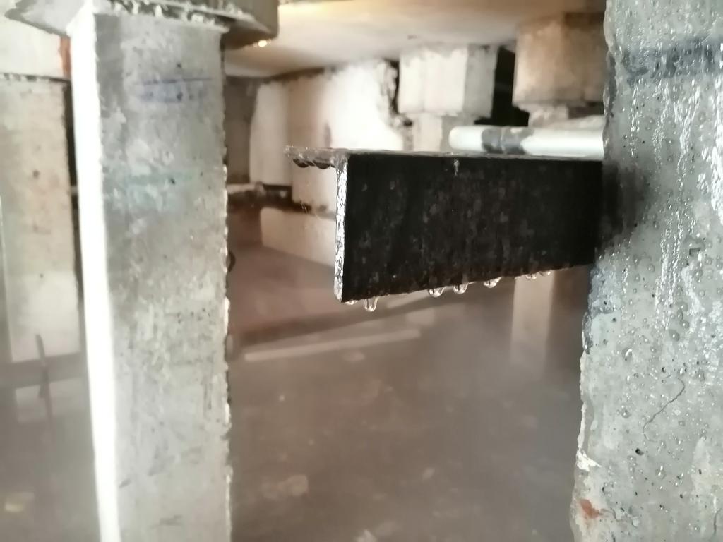 Alexander tweet media