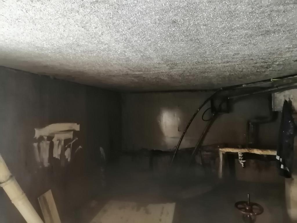 Alexander tweet media