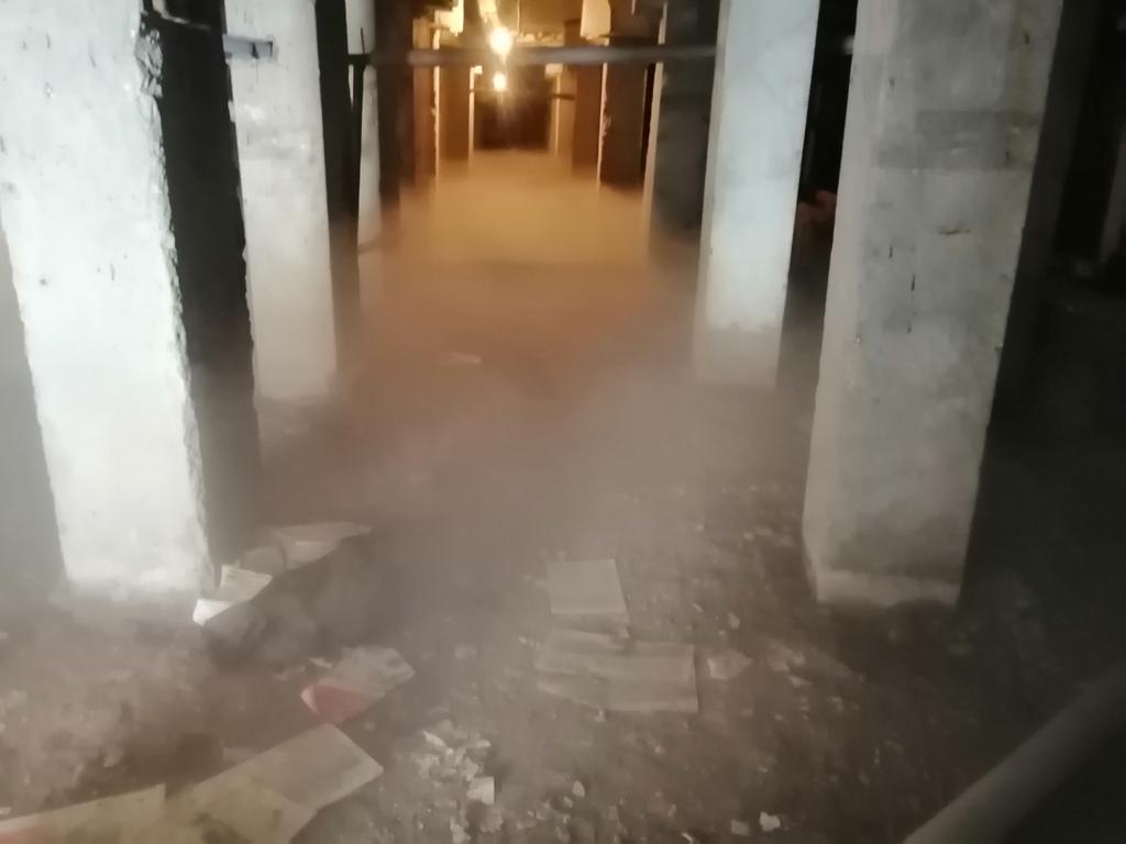 Alexander tweet media