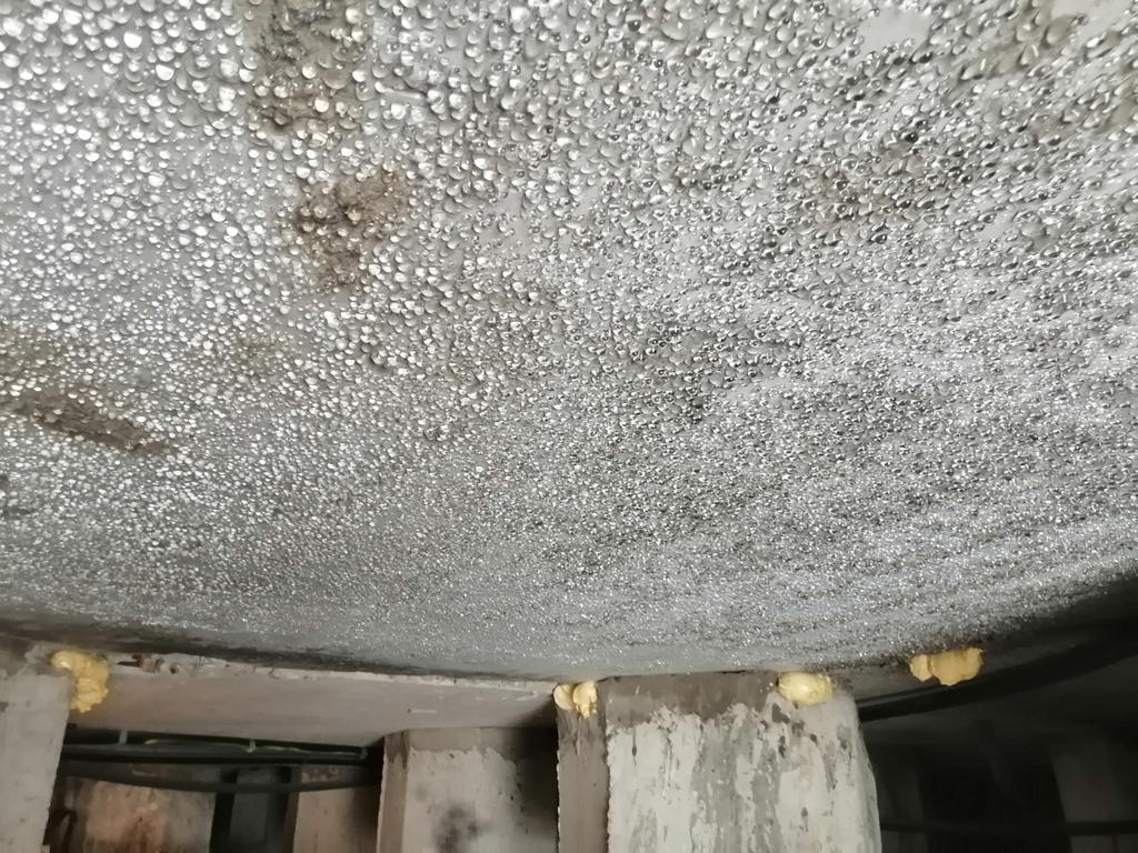 Alexander tweet media