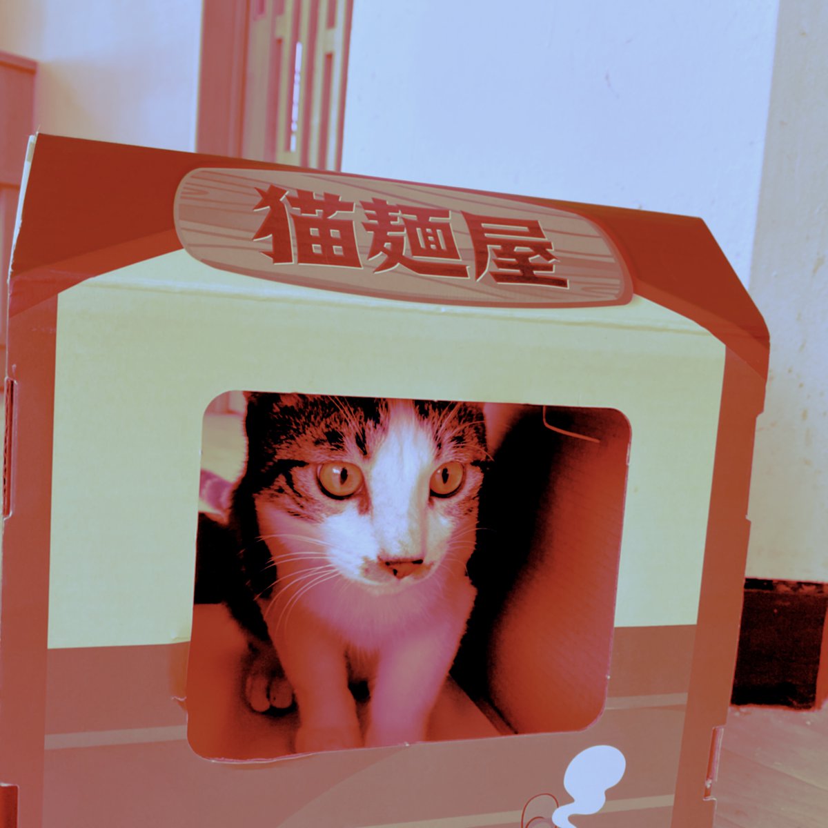obi_wan_eclipse's tweet photo. I didn't know you opened a ramen shop. #猫式 #cat #ShotoniPhone #Hipstamatic #Sammy1925 #LouisXIVInfrared https://t.co/PRrErC1uQk
