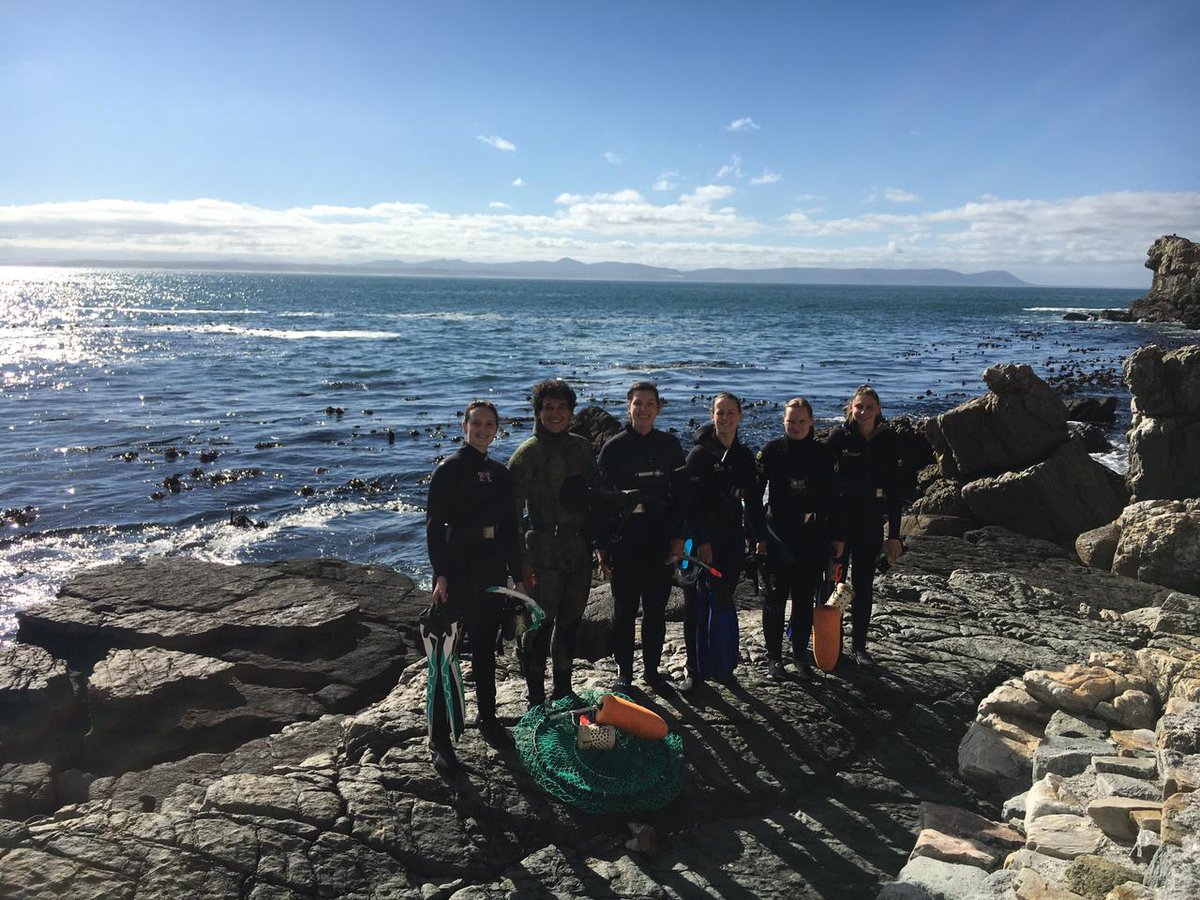 South African Shark Conservancy tweet media