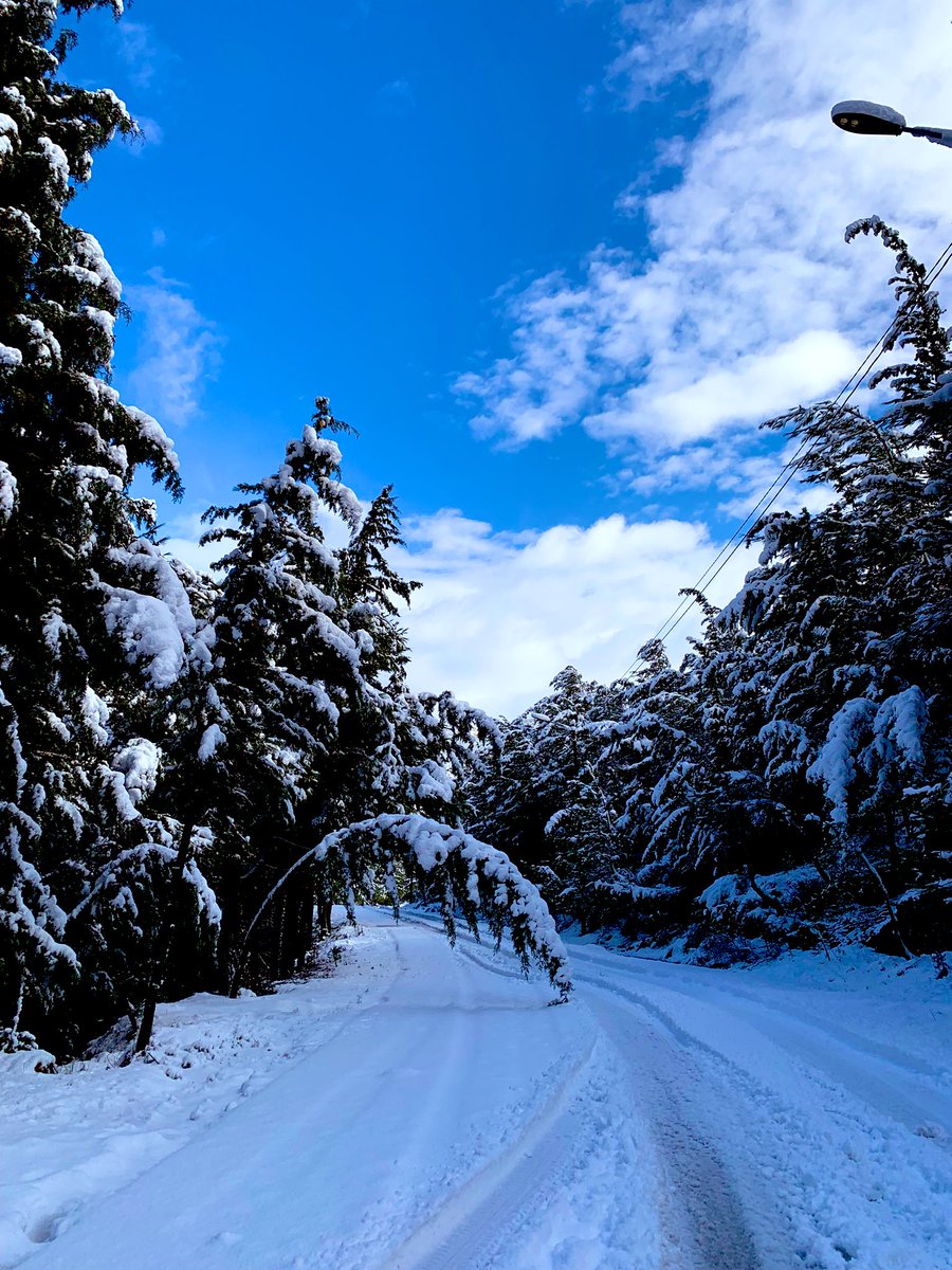 صباحكن أبيض🤍
#صباح_الخير