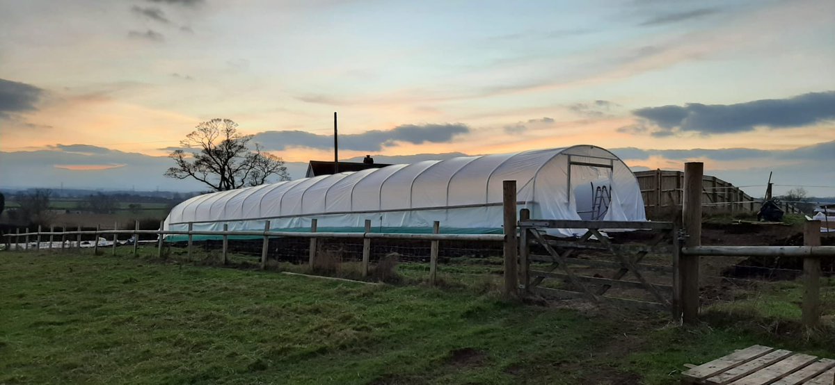 A little light door hanging, scrub down the surfaces and we'll be there. Thank God for colleagues, neighbours and friends - your assistance was epic!