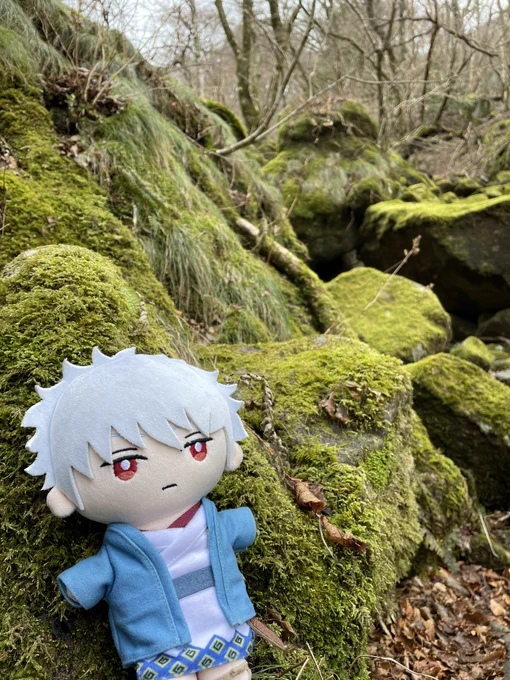 天城山登りました🤗 