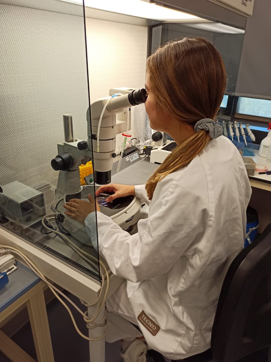 TechnoSperm's tweet photo. Our pre-doctoral researcher, @yentel_mateo, has been awarded a Scientific Exchange Grant from @EMBO for her research stay in @UniofOxford. Congratulations! 👩‍🔬🥼 https://t.co/tsLek7Tq77