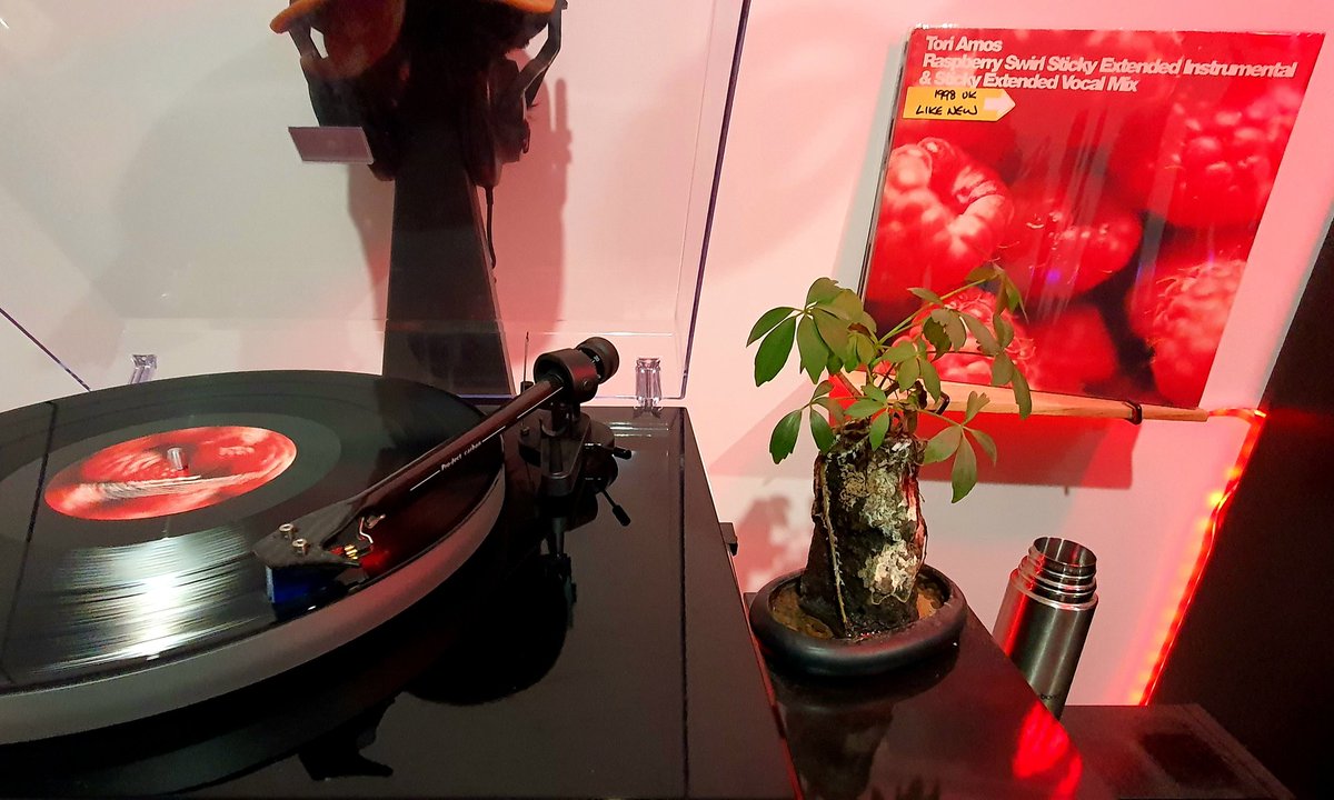 Sheeds_au's tweet photo. Nice pickup. @toriamos in da house!
#RaspberrySwirl #vinyl #nowspinning or #nowswirling 😎🤟 https://t.co/m4cYKVhDSt