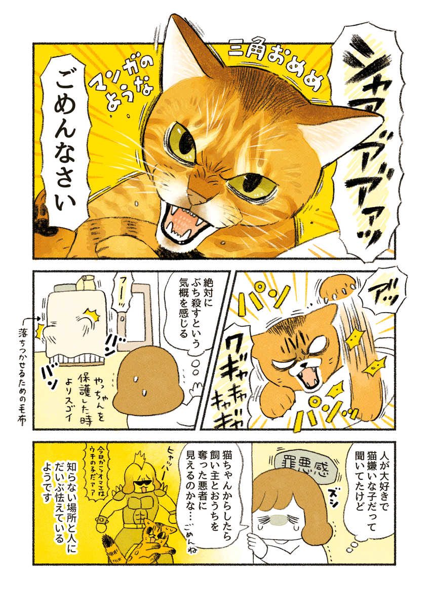 ベンガルのももちゃん(中編)
「ももちゃんのトライアル」 