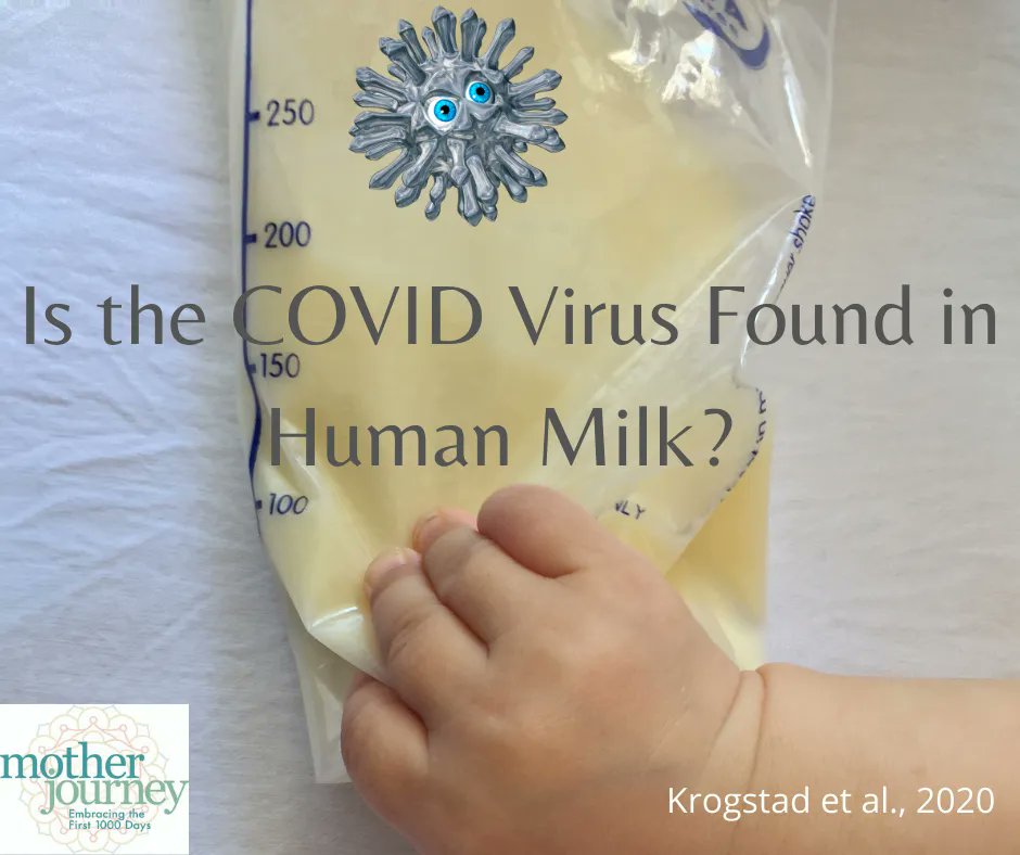 linfinitee's tweet image. Researchers looked at human milk samples from parents with previous COVID and found that although a small % (between 6-9%) did contain the virus, none contained the virus in an infectious state. No evidence of transmission of virus through breastfeeding.  buff.ly/3GSbWgG