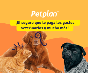 𝗢𝗦 𝗣𝗥𝗘𝗦𝗘𝗡𝗧𝗔𝗠𝗢𝗦 𝗔 𝗡𝗨𝗘𝗩𝗢 𝗖𝗢𝗟𝗔𝗕𝗢𝗥𝗔𝗗𝗢𝗥
Damos la bienvenida a  𝗣𝗲𝘁𝗽𝗹𝗮𝗻 como nuevo colaborador -> petplan.es