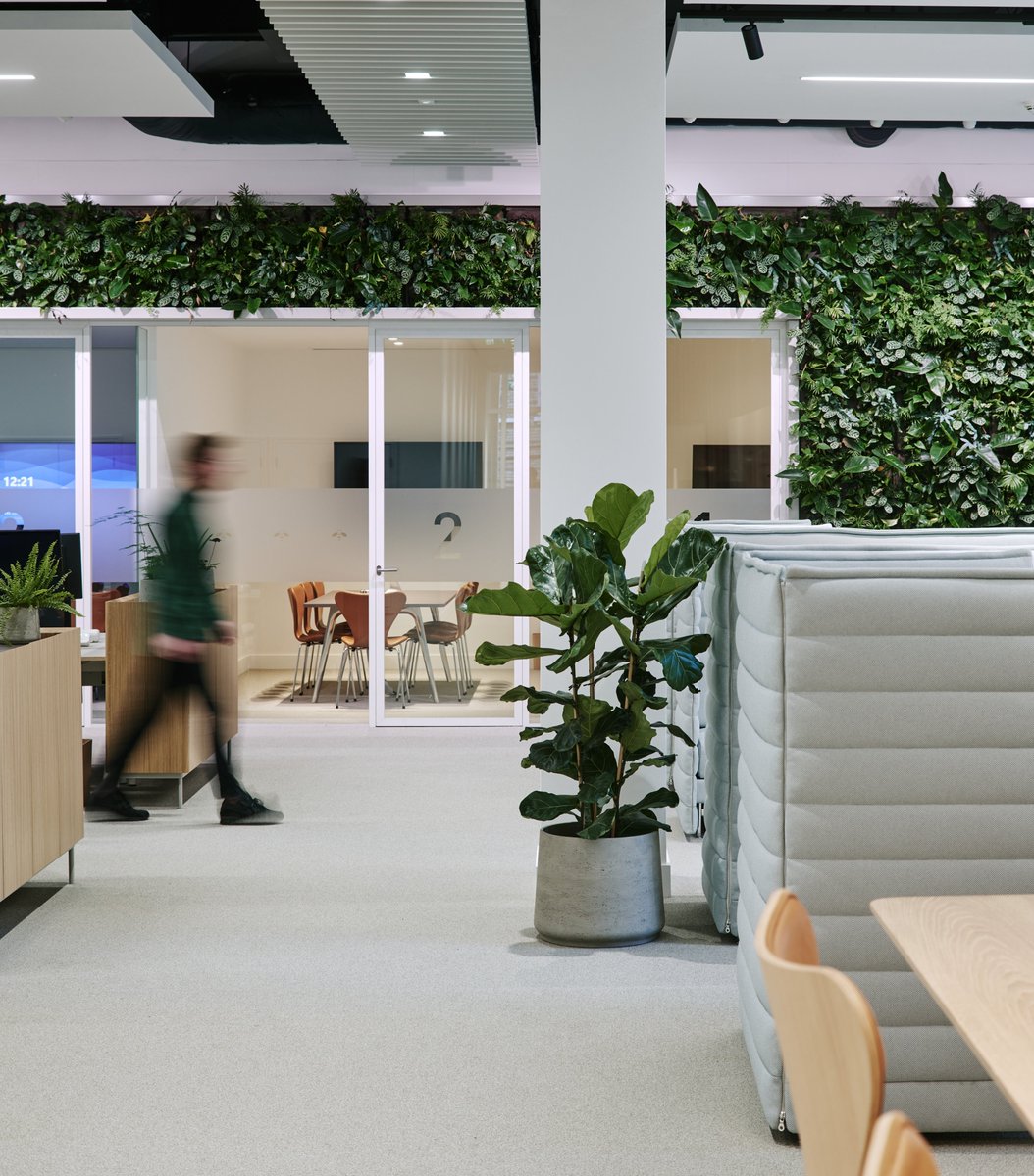 Beringea's office is designed as a calm, productive space for work and (re)connection. The SemperGreenwall spanning 13 m is one of the major elements that creates the nature-focused indoor environment 🌿 Architect: @mowatandcompany Photos: Chris Horwood and Mowat & Company