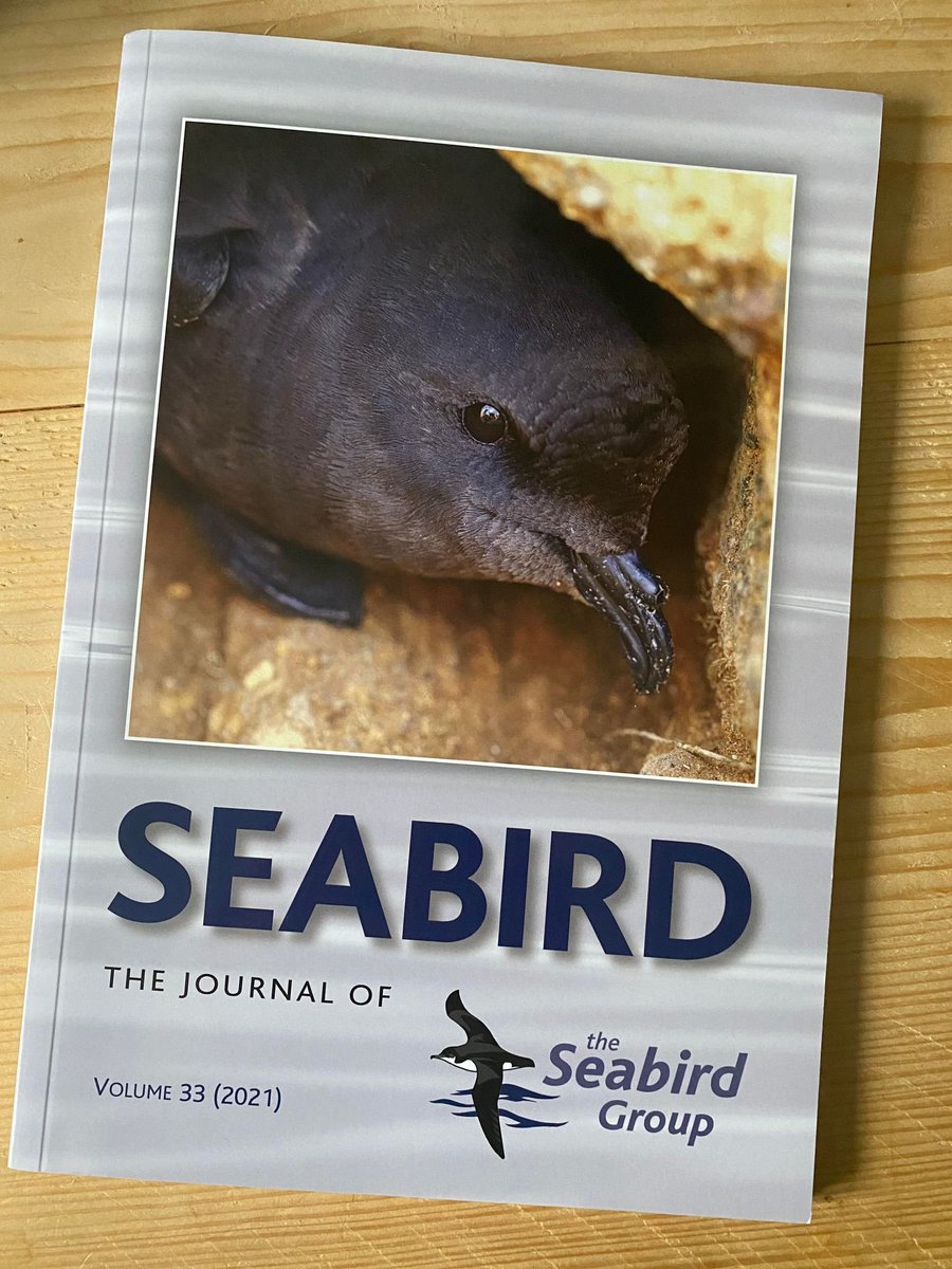 ✨SEABIRD 33 is here! ✨

These new papers span guillemot eggs 🥚, gull harnesses 🪢, scent dogs 🐶, habitat mapping 🗺️, storm petrel discoveries &amp; declines 🔈, foraging puffins 🐟, barnacles on loggers 🦀, skua migrations 🌬️, and more!
seabirdgroup.org.uk/seabird-33 

#SeabirdJournal