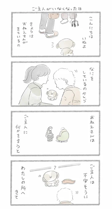 足の悪いご主人とシーズーさん①#こんにちはいぬです 