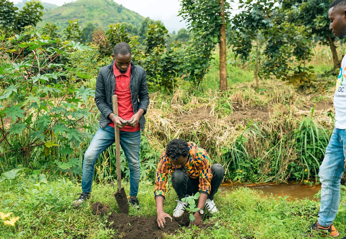 Uhuruknowledge's tweet photo. Ns croyons que planter les arbres est l’une des solutions durables et efficaces face à phénomène naturel. Ns sommes passé à l'action pr motiver, inciter et attirer l’attention.
Merci à @WWFRDC pr le don des semences et à ts volontaires !
#UhuruKnowledge #Environnement #WWF #Congo https://t.co/bTxtrPJRaM