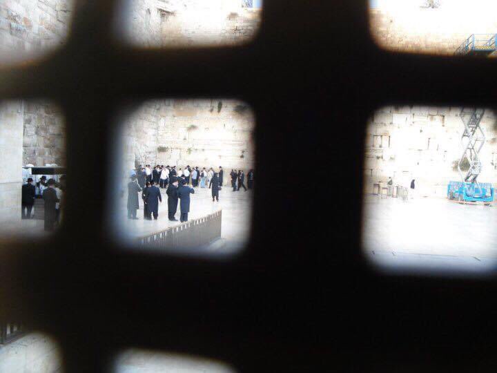 Israele - Foto a Gerusalemme muro del pianto
'perché sei qui?' 'io sono ebreo' 'cosa hai fatto di male?' 'non lo so'.       
#pinaveroli #pymeraviglia #pysspace #memoria #murodelpianto #gerusalemme #ebrei