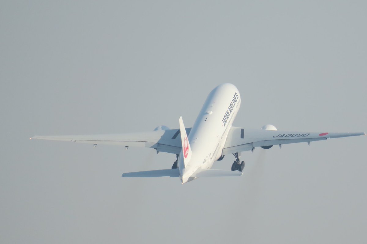 take_flight0115's tweet photo. #JAL、#JA009D https://t.co/lf0Xs0nOvJ