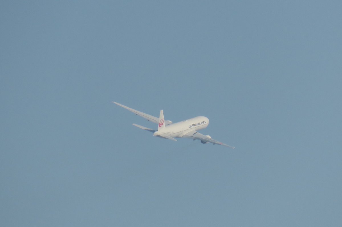 take_flight0115's tweet photo. #JAL、#JA009D https://t.co/lf0Xs0nOvJ