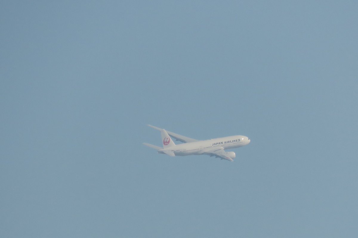 take_flight0115's tweet photo. #JAL、#JA009D https://t.co/lf0Xs0nOvJ