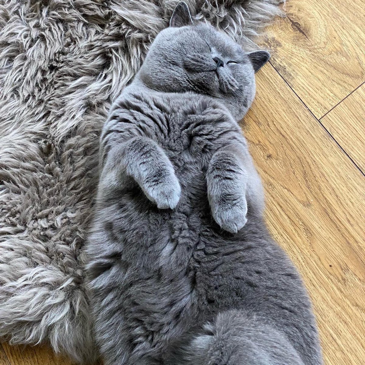 The Very Group tweet media