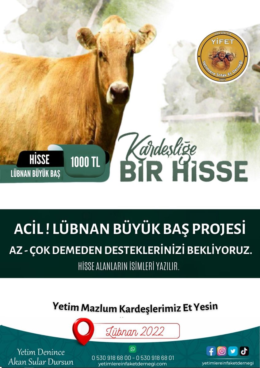 Yifetafrika's tweet photo. Acil yardım çağrısıdır. Lübnanda kesilecek büyükbaş kurban için desteklerinizi bekliyoruz kardeşlerim
#yetimlereinfaketdernegi #lübnan #lübnan2022 https://t.co/5IMI63D2pt