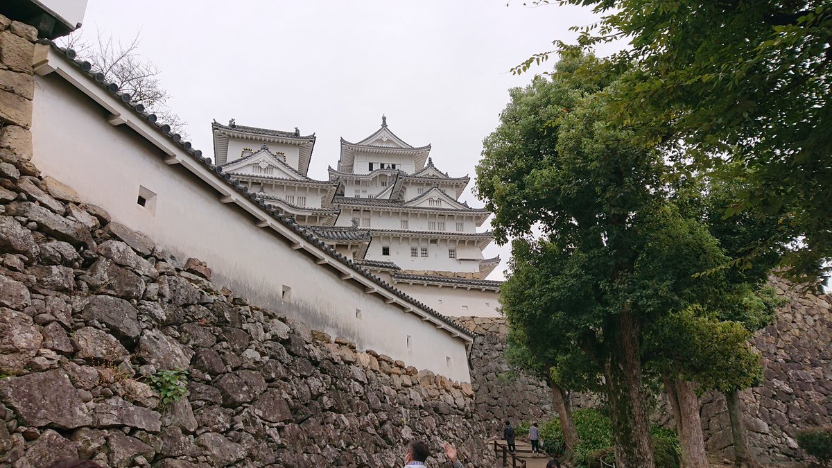 知らない街を歩いて見たい🥰🐙 ＃旅行 ＃旅 ＃観光 ＃観光地 ＃景勝地 ＃トラベル ＃Travel ＃ツアー ＃風景 ＃景色 ＃花 ＃撮影会 ＃飛行機 ＃知らない街を歩いて見たい ＃一人旅