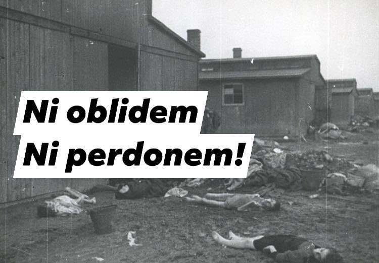 Triangle Blau Viena (@triangleblauat) on Twitter photo 